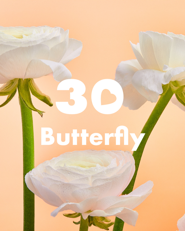 Butterfly: 30 Years of Unconditional Love