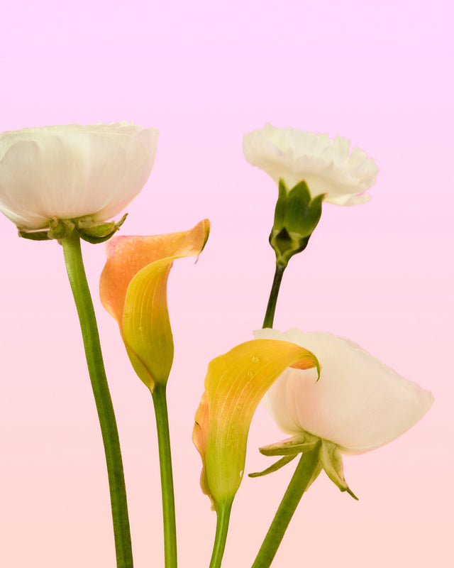 Parfums Hanae Mori Spring 2025 Bouquet