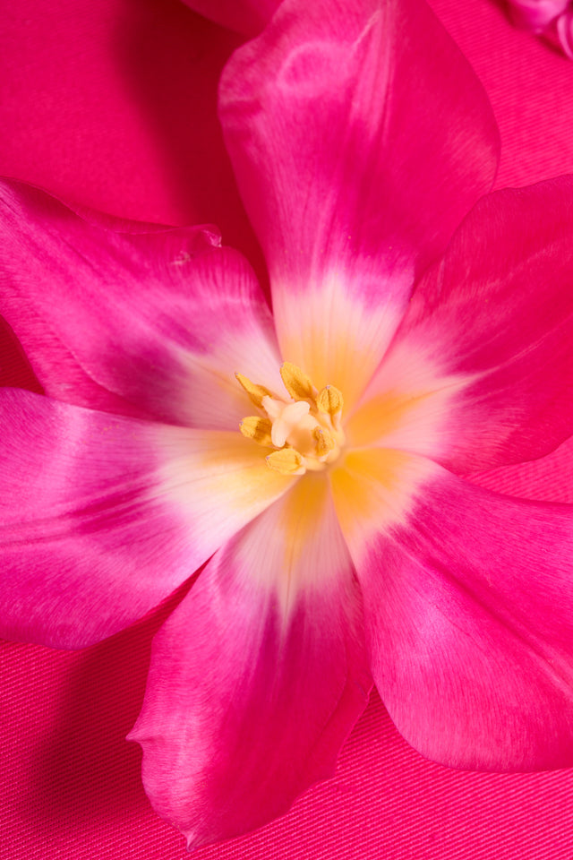 Parfums Hanae Mori Our Commitments Flower